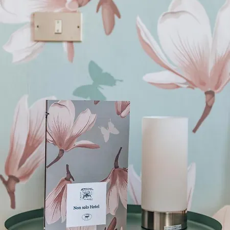 Casa Camilla 3* Verbania