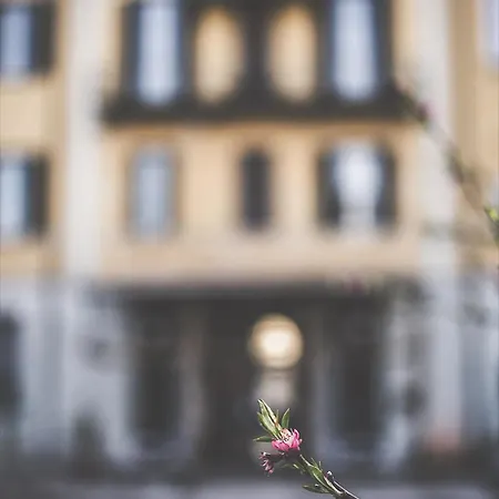 Aurora Hotel 3*